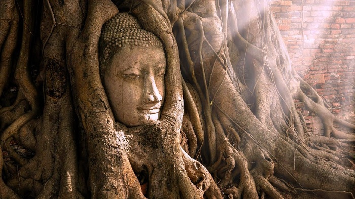 Wat Mahathat Ayutthaya