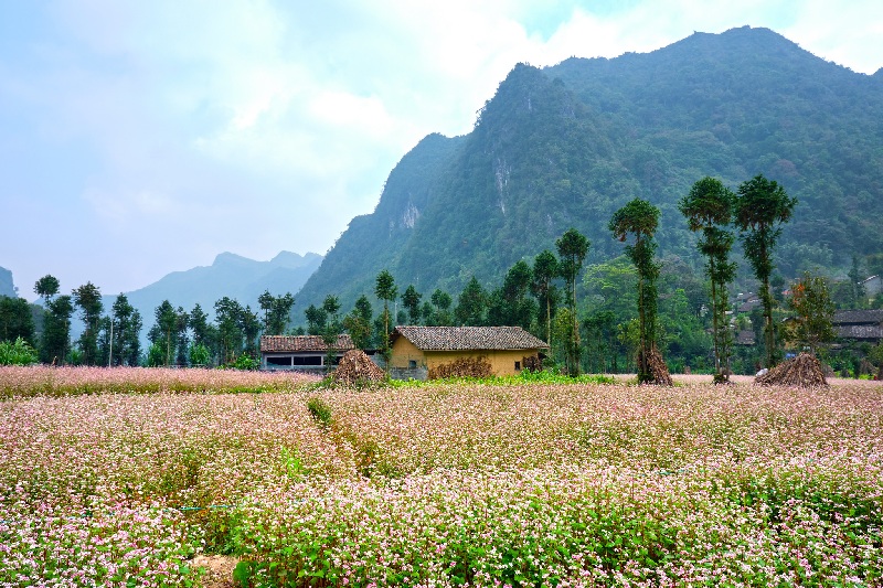 Bản Sủng Là