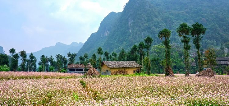 Những điều tốt nhất bạn nên làm khi đi du lịch Hà Giang