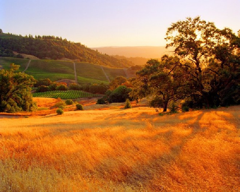 Du lịch California mùa thu