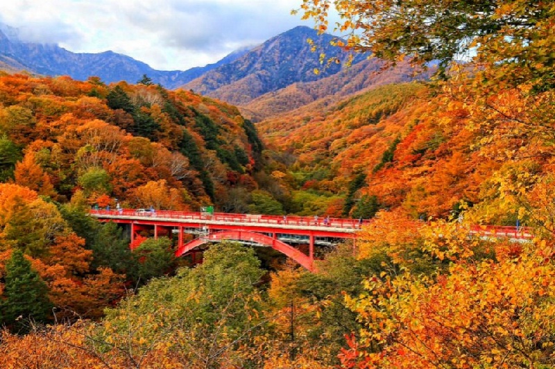 Vườn quốc gia Yatsugatake Chushin - Kogen Quasi