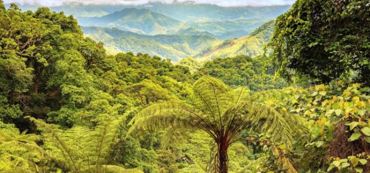 Vẻ đẹp hút hồn ở Động Châu – khe Nước Trong