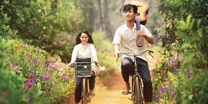 Ngắm đồi thông thơ mộng nhất xứ Huế