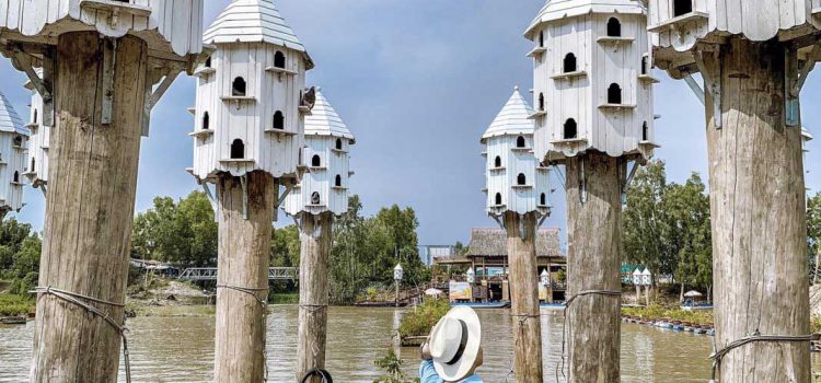 Phát sốt với bến tàu tổ chim đẹp tựa trời Âu ở An Giang