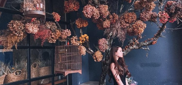 Những quán café đỉnh cao mà nhất định bạn nên ghé khi tới Đà Lạt