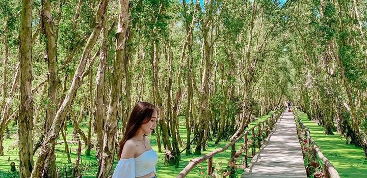 Khám phá vẻ đẹp xanh mướt của rừng tràm Trà Sư ở An Giang