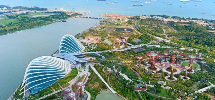 Garden by the Bay- Vườn thực vật xanh giữa Singapore