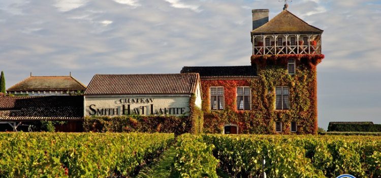 Chateau Smith Haut Lafitte: Viên ngọc quý của nền rượu vang Pháp