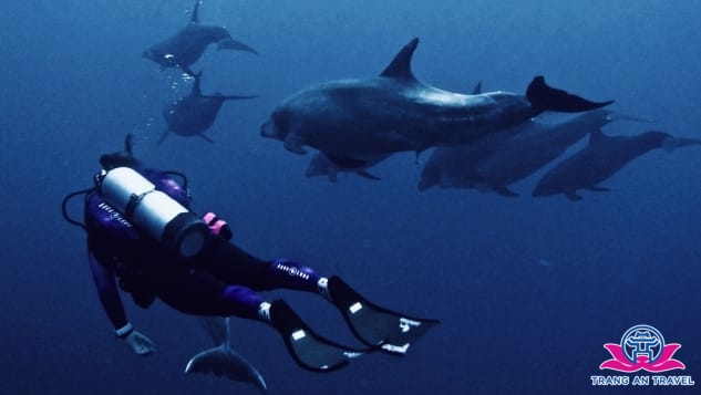 Sarah Richard, 33 tuổi, người sáng lập Girls that Scuba, cộng đồng lặn biển dành cho phụ nữ lớn nhất thế giới. Cô thường tổ chức những chuyến lặn biển trước dịch bùng phát ở Jordan, Ai Cập, Mexico, Maldives hay Indonesia…