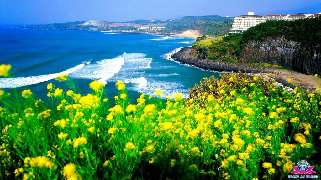 Đảo Jeju, thiên đường du lịch của Hàn Quốc đang sẵn sàng khách quốc tế trở lại sau đại dịch