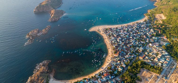 Vô tình tìm thấy Quy Nhơn tựa thanh xuân tươi đẹp