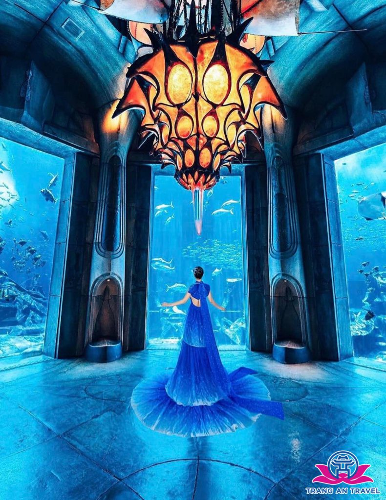 Chị Nhung chụp hình lưu niệm ở Thuỷ cung tại khách sạn Atlantis The Palm.