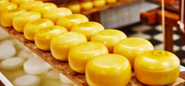 Phô mai Hà Lan, có chắc ta không đắm say hương vị trứ danh như thế?