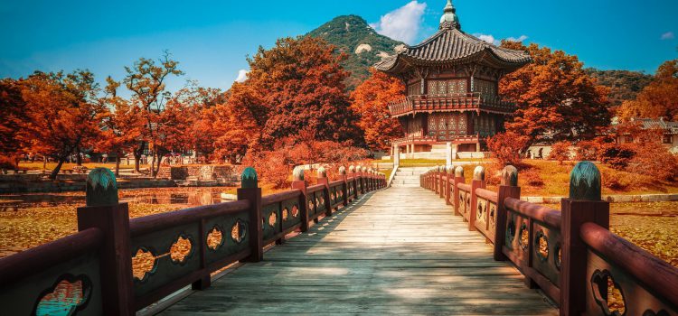 Cẩm nang vi vu Hàn Quốc sau Covid-19