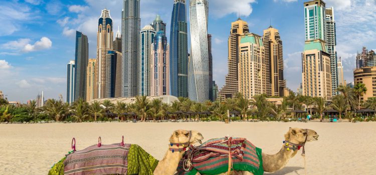 11 điều ngỡ ngàng lần đầu du lịch UAE