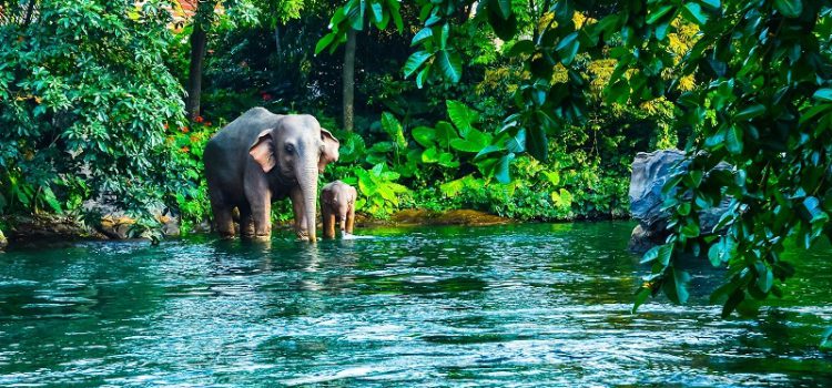 5 khu vườn sinh thái kỳ bí của Thái Lan