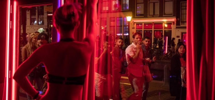 Bí mật động trời từ phố đèn đỏ Amsterdam