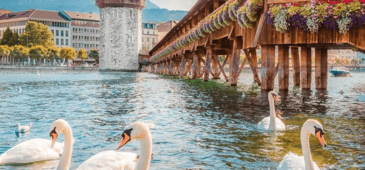 Vẻ đẹp hồ Lucerne Thụy Sĩ Kỳ quan thiên nhiên tuyệt đẹp của châu Âu