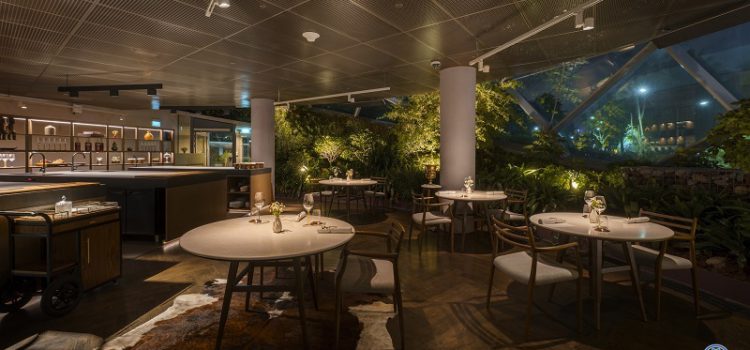 9 nhà hàng ở Singapore mới trao sao Michelin