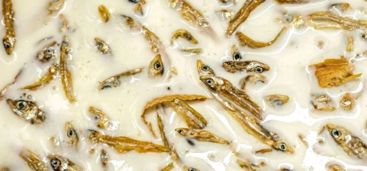 Kem cá khô, sâu bướm tại Nam Phi