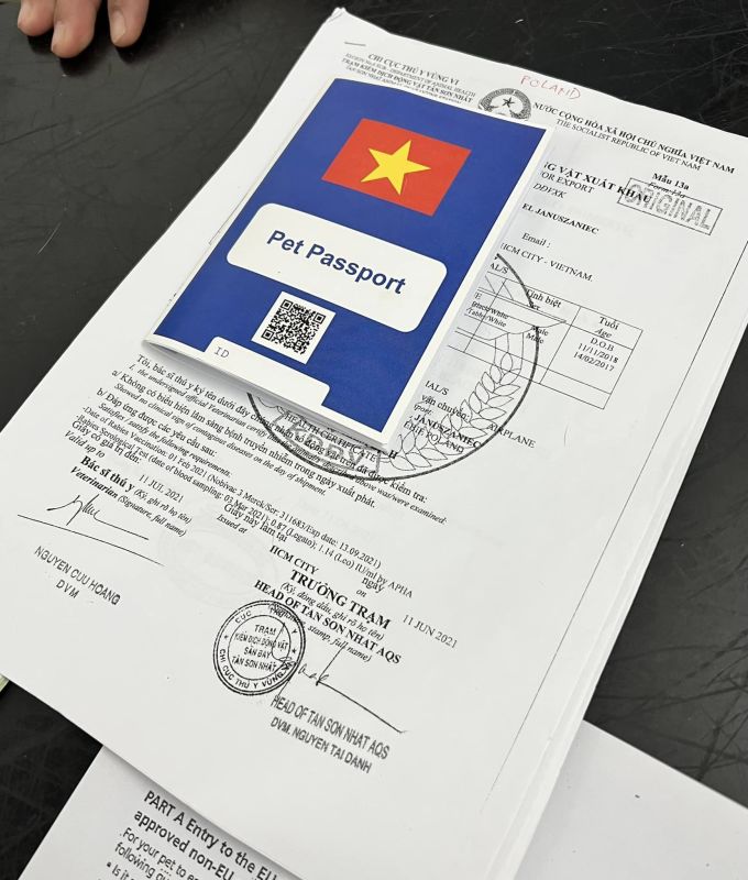Các thủ tục, giấy tờ liên quan để Fifi có thể sang châu Âu cùng vợ chồng chị Huỳnh Trang.