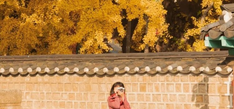 5 nơi ngắm lá vàng gần Seoul