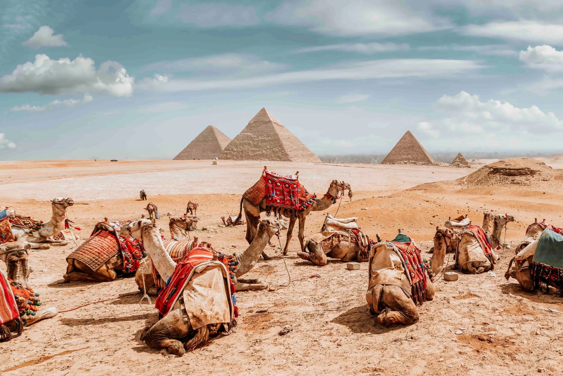 kinh nghiệm du lịch Ai Cập 2024
