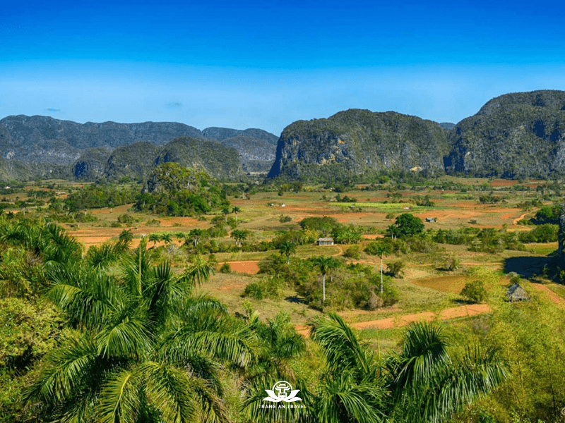 Thung lũng Vinales ngập trong sắc xanh