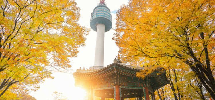 TOUR: HÀ NỘI – SEOUL – NAMI – SEOUL GRAND PARK 5N4Đ – BAY VN