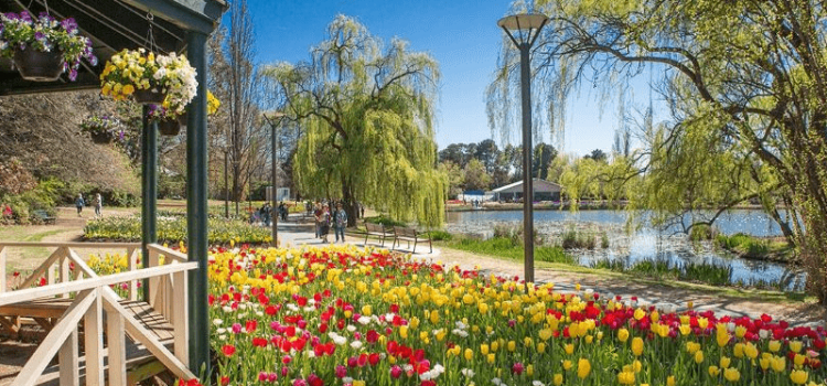Du lịch Úc: Khám phá những điều thú vị ở thủ đô Canberra