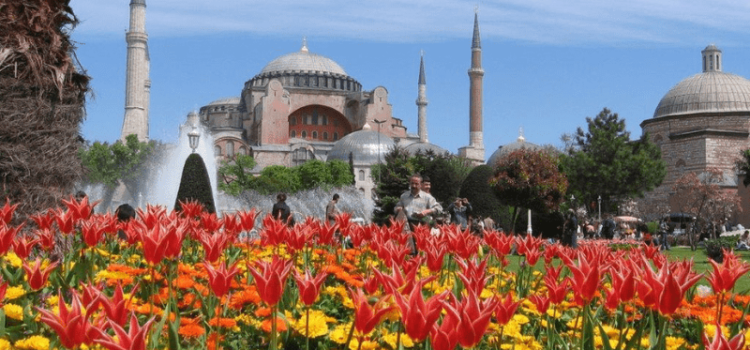 Khám phá nét đẹp rực rỡ lễ hội hoa Tulip Thổ Nhĩ Kỳ